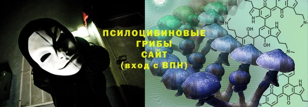 кокс Богородск