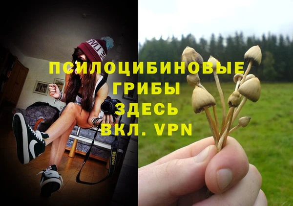 кокаин колумбия Богданович