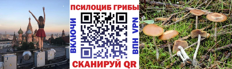 кракен зеркало Озёрск Галлюциногенные грибы прущие грибы купить наркотики цена